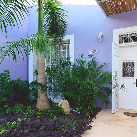 梅里达Casa Violeta别墅 外观 照片
