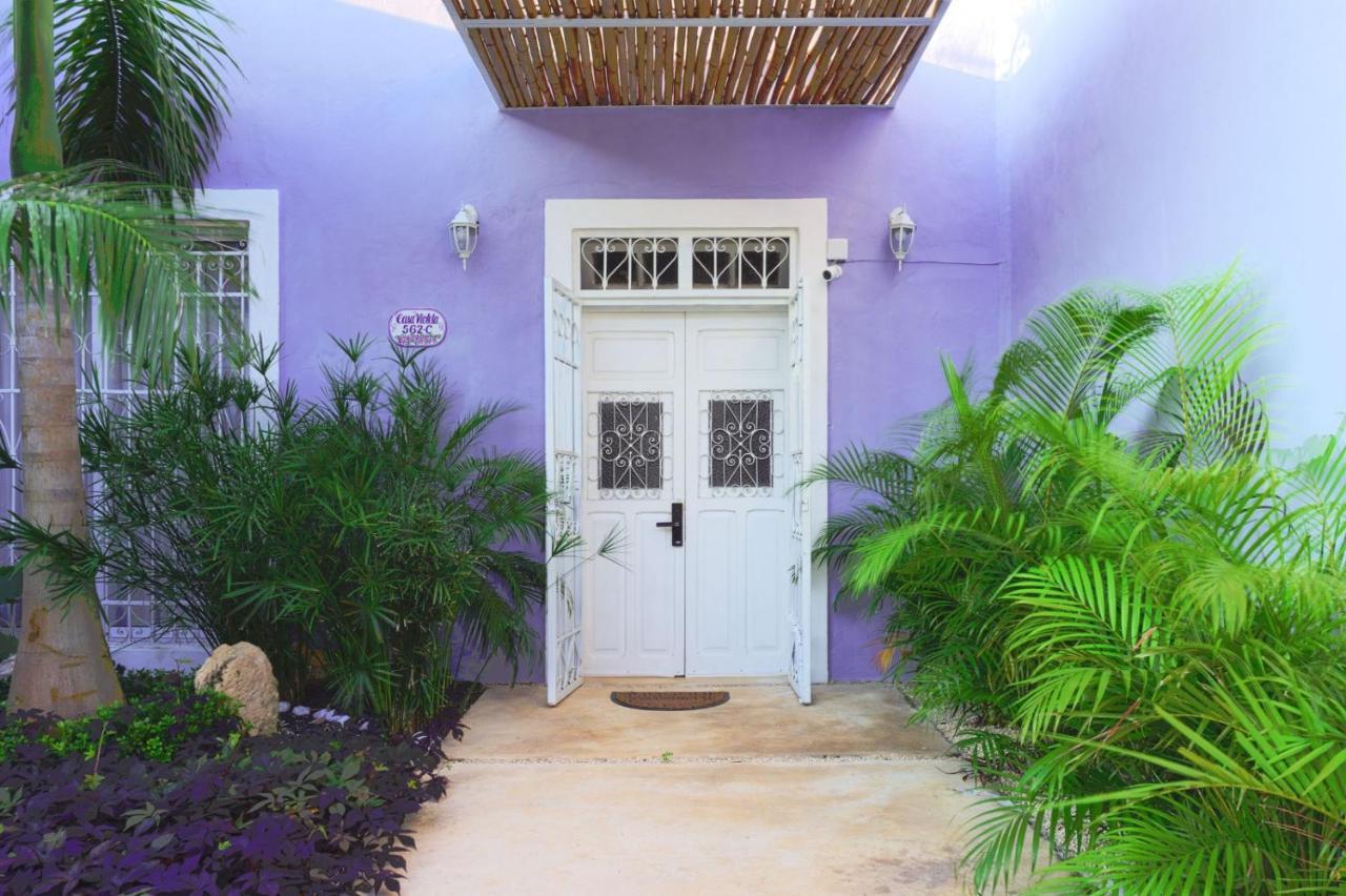梅里达Casa Violeta别墅 外观 照片