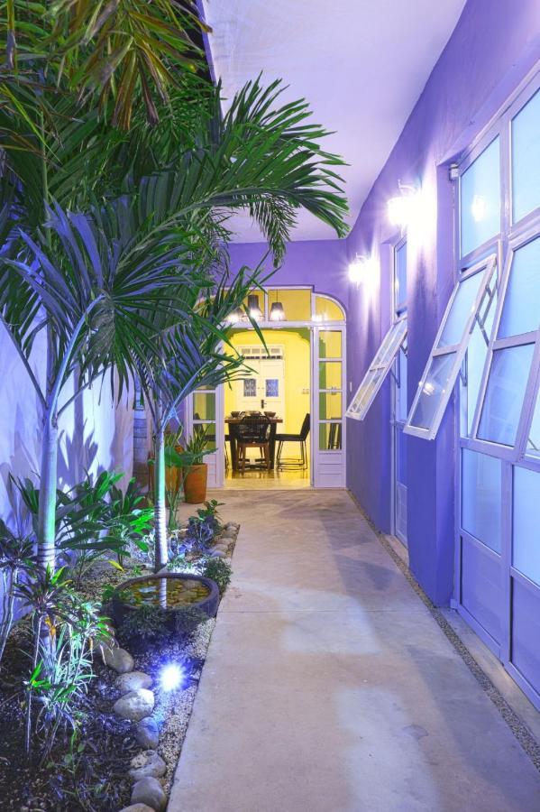 梅里达Casa Violeta别墅 外观 照片