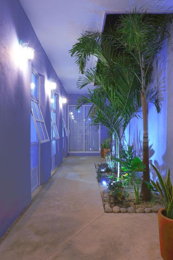 梅里达Casa Violeta别墅 外观 照片